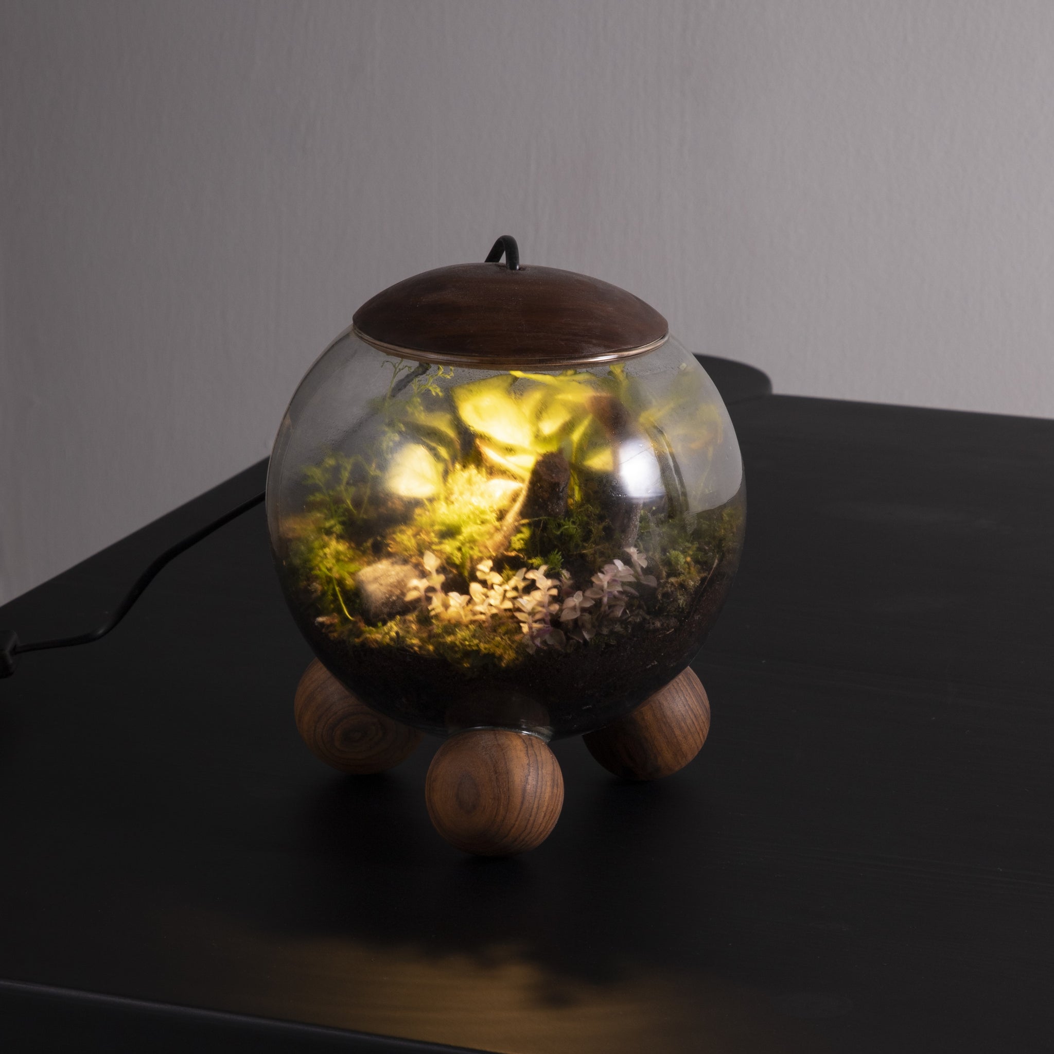 Ball Terrarium Lamp