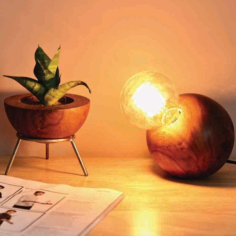 Ball Lamp & Planter